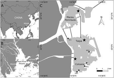 Personal Care and Cosmetic Products as a Potential Source of Environmental Contamination by Microplastics in a Densely Populated Asian City